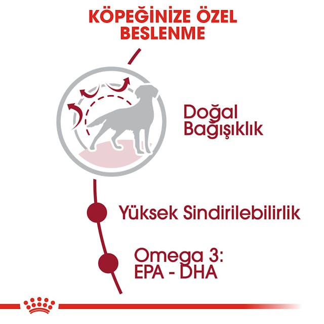 Royal Canin Medium Adult Orta Irk Yetişkin Köpek Maması 15 Kg Royal Canin Medium Adult Orta Irk Yetişkin Köpek Maması 15 Kg