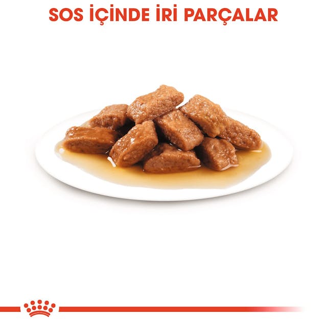 Royal Canin Medium Adult Orta Irk Yetişkin Köpekler İçin Parça Etli Konserve Yaş Mama Pouch 140 Gr