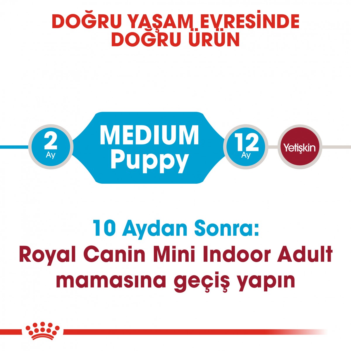 Royal Canin Medium Puppy Orta Irk Yavru Köpek Maması 15 Kg Royal Canin Medium Puppy Orta Irk Yavru Köpek Maması 15 Kg