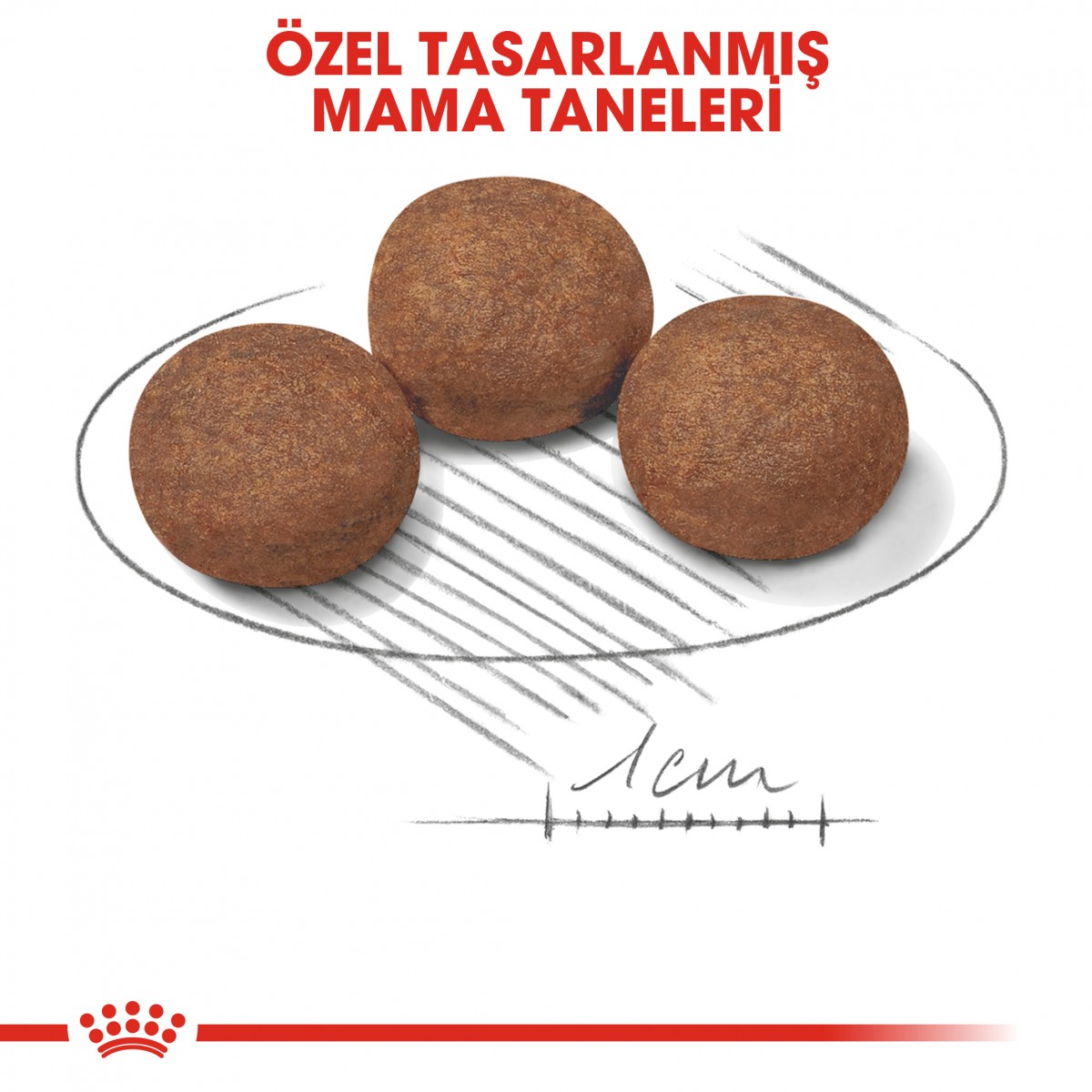 Royal Canin Medium Puppy Orta Irk Yavru Köpek Maması 15 Kg Royal Canin Medium Puppy Orta Irk Yavru Köpek Maması 15 Kg