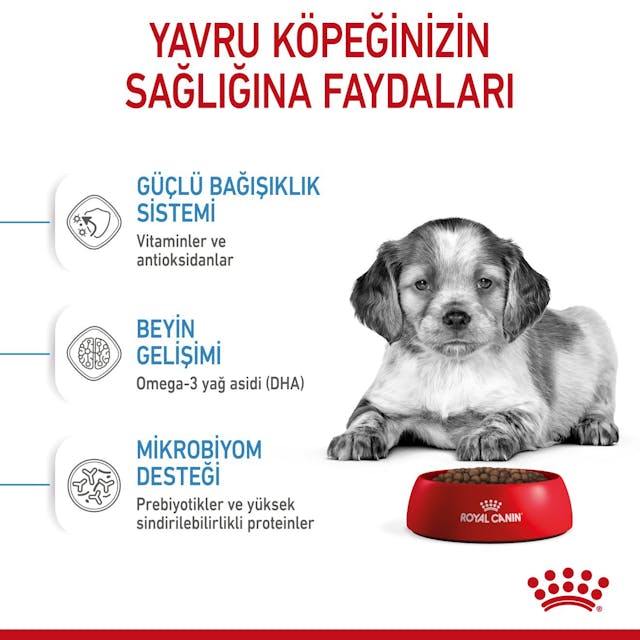 Royal Canin Medium Puppy Orta Irk Yavru Köpek Maması 4 Kg Royal Canin Medium Puppy Orta Irk Yavru Köpek Maması 4 Kg