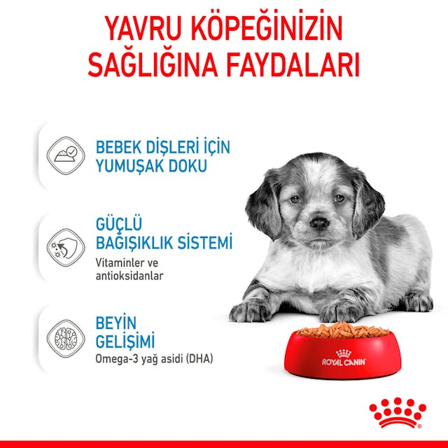 Royal Canin Medium Puppy Orta Irk Yavru Köpekler İçin Parça Etli Konserve Yaş Mama Pouch 140 Gr Royal Canin Medium Puppy Orta Irk Yavru Köpekler İçin Parça Etli Konserve Yaş Mama Pouch 140 Gr