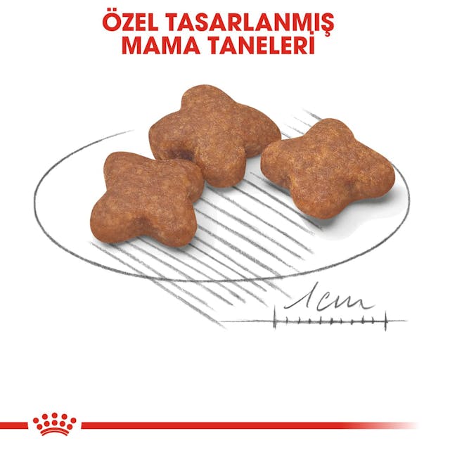 Royal Canin Mini Adult 8+ Küçük Irk Yaşlı Köpek Maması 2 Kg Royal Canin Mini Adult 8+ Küçük Irk Yaşlı Köpek Maması 2 Kg