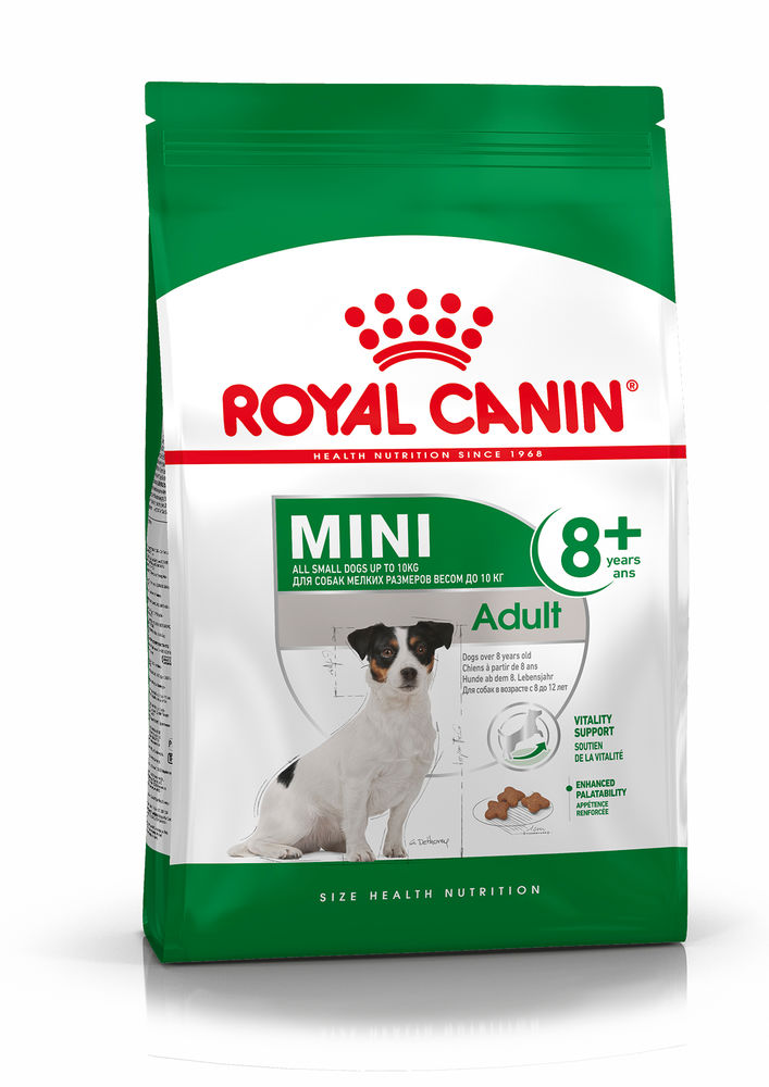 Royal Canin Mini Adult 8+ Küçük Irk Yaşlı Köpek Maması 2 Kg Royal Canin Mini Adult 8+ Küçük Irk Yaşlı Köpek Maması 2 Kg