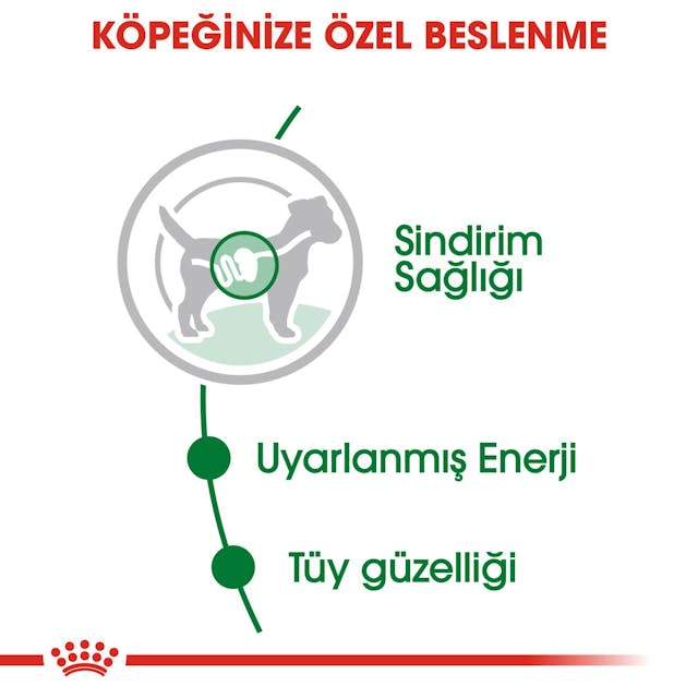 Royal Canin Mini Adult Gravy Küçük Irk Yetişkin Pouch Köpek Konserve Yaş Maması 85 Gr