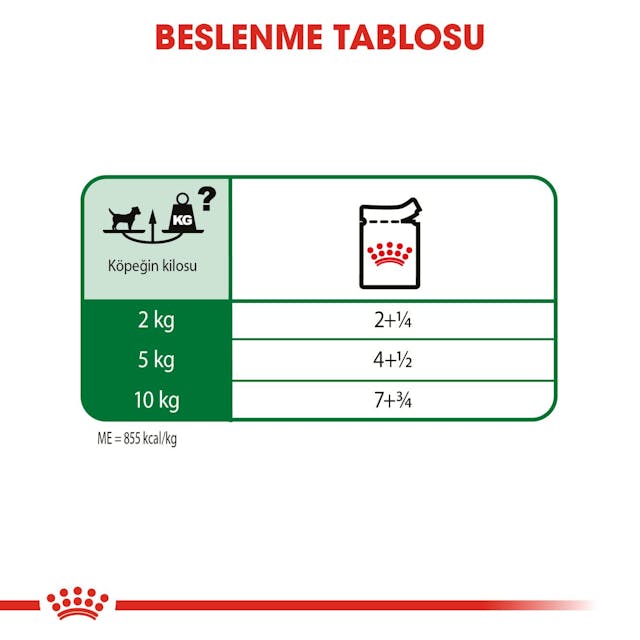 Royal Canin Mini Adult Küçük Irk Yetişkin Yaş Köpek Maması 85 Gr Royal Canin Mini Adult Küçük Irk Yetişkin Yaş Köpek Maması 85 Gr