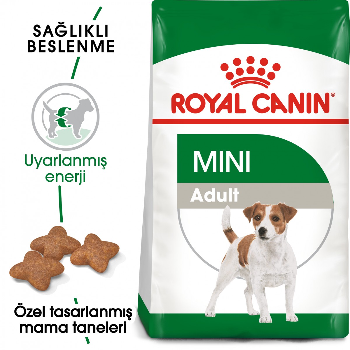 Royal Canin Mini Adult Küçük Irk Yetişkin Köpek Maması 2 Kg