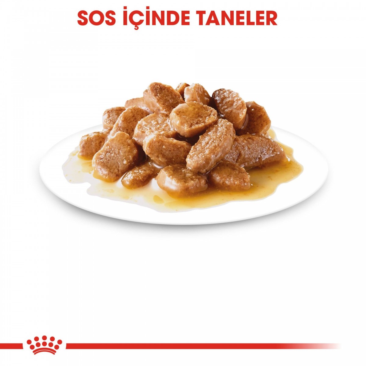 Royal Canin Mini Ageing 12+ Gravy Pouch Yaşlı Köpek Konserve Yaş Mama 85 Gr