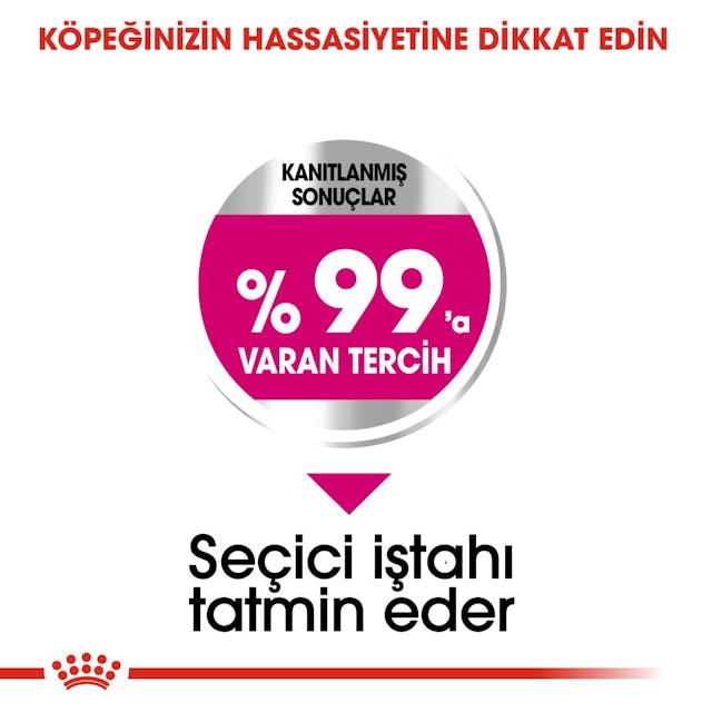 Royal Canin Mini Exigent Küçük Irk Yetişkin Köpek Maması 3 Kg Royal Canin Mini Exigent Küçük Irk Yetişkin Köpek Maması 3 Kg
