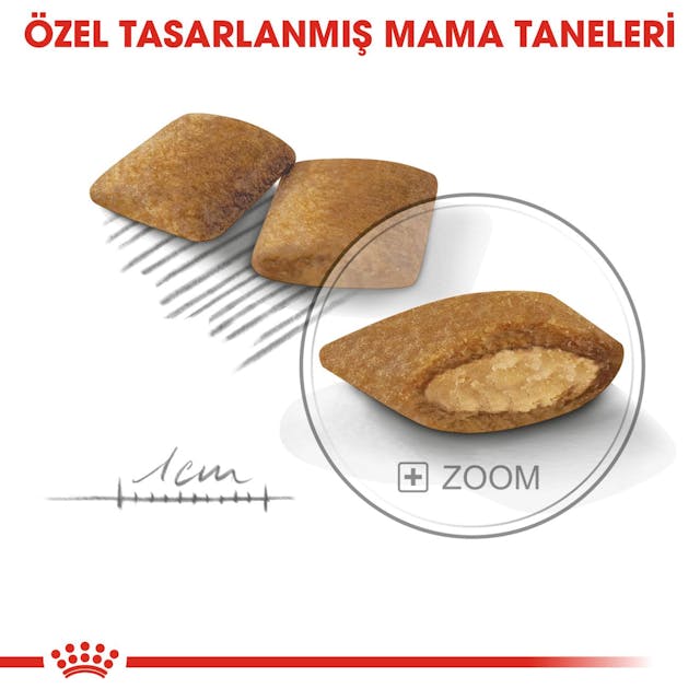 Royal Canin Mini Exigent Küçük Irk Yetişkin Köpek Maması 3 Kg