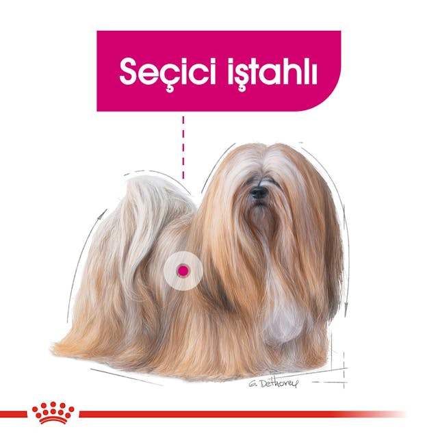 Royal Canin Mini Exigent Küçük Irk Yetişkin Köpek Maması 3 Kg