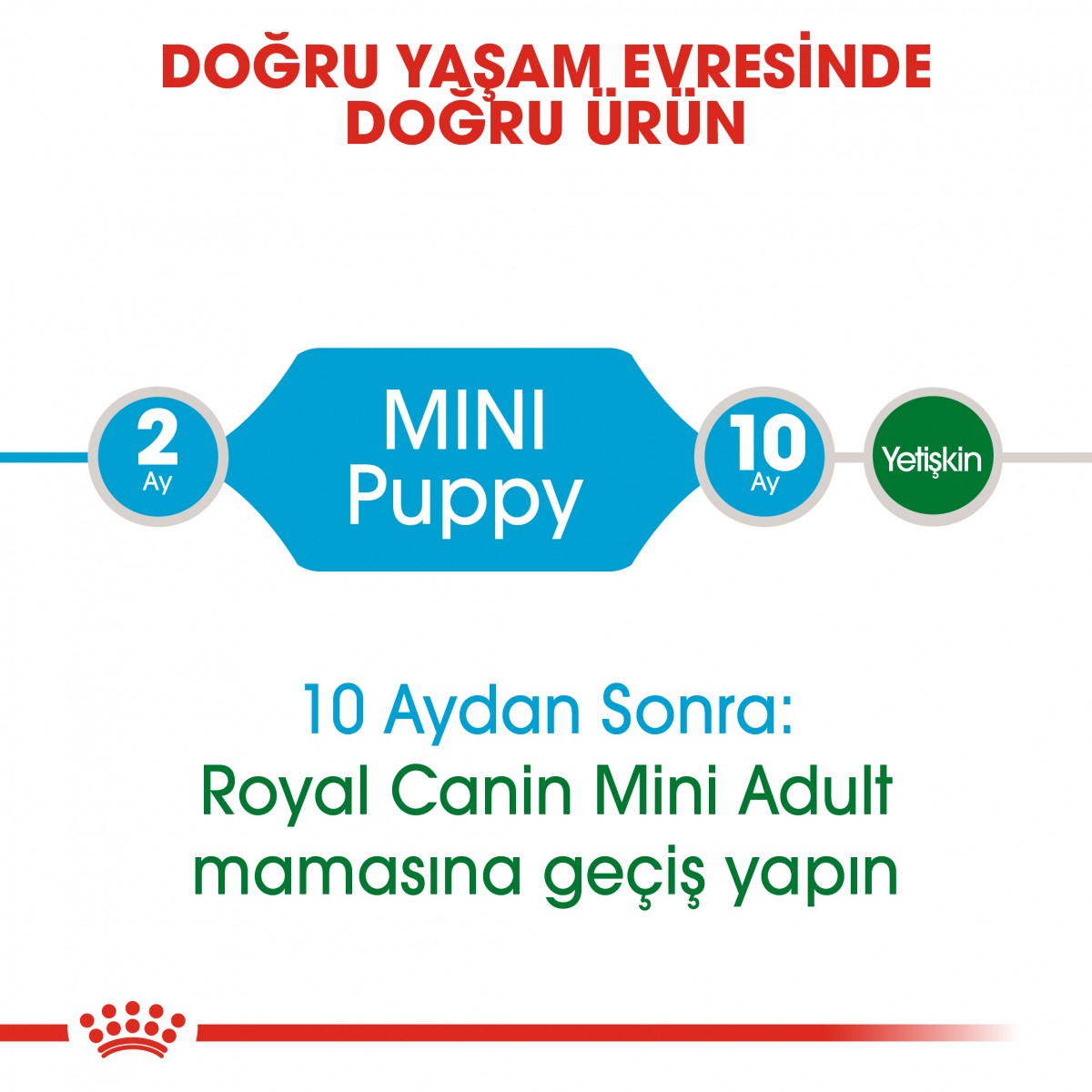 Royal Canin Mini Puppy Küçük Irk Yavru Köpek Maması 4 Kg Royal Canin Mini Puppy Küçük Irk Yavru Köpek Maması 4 Kg