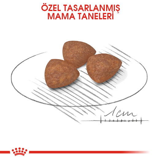 Royal Canin Mini Puppy Küçük Irk Yavru Köpek Maması 4 Kg Royal Canin Mini Puppy Küçük Irk Yavru Köpek Maması 4 Kg