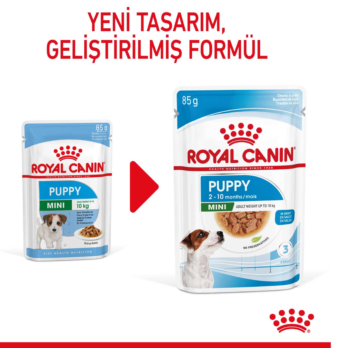 Royal Canin Mini Puppy Küçük Irk Yavru Köpek Yaş Maması 85 Gr Royal Canin Mini Puppy Küçük Irk Yavru Köpek Yaş Maması 85 Gr