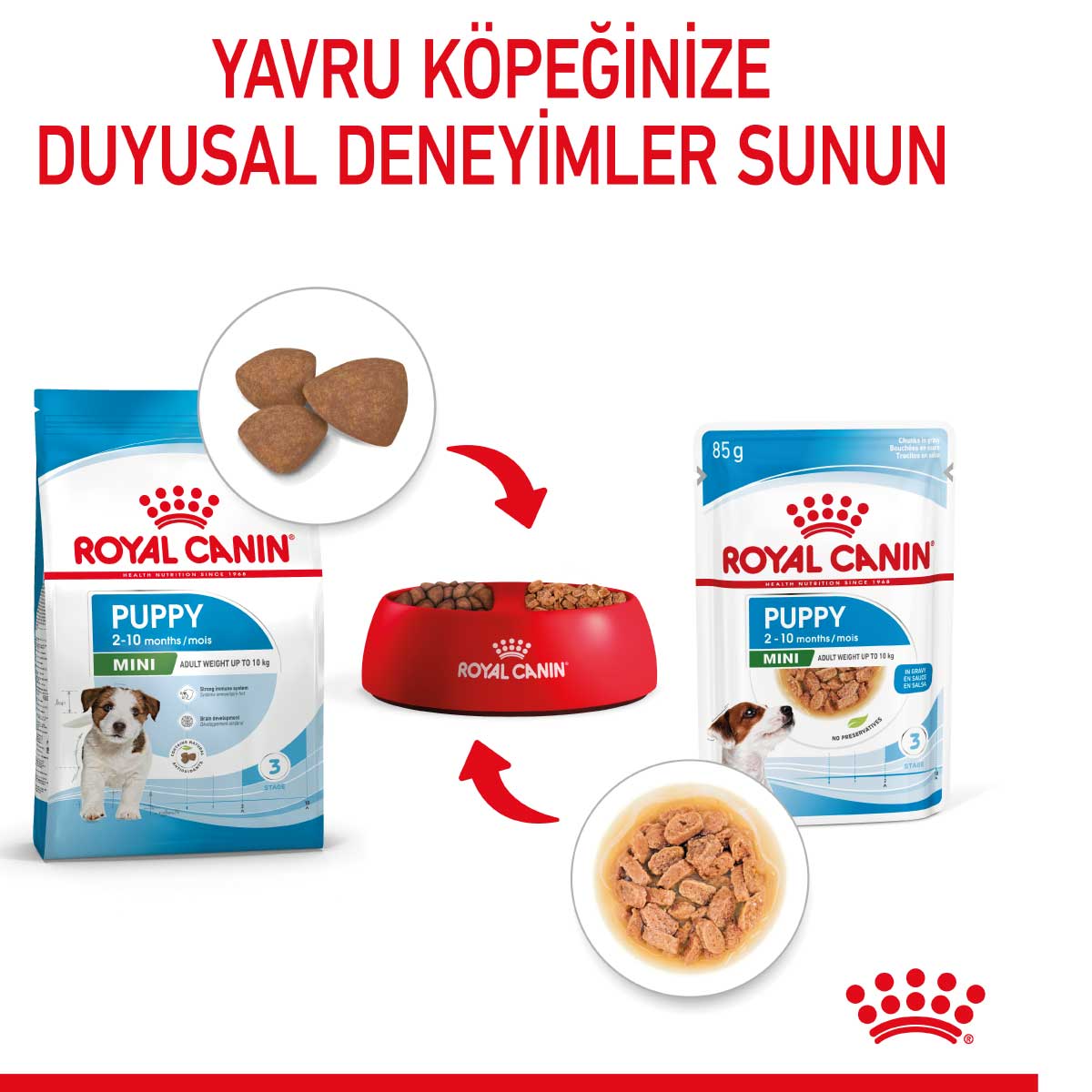 Royal Canin Mini Puppy Pouch Konserve Yavru Köpek Yaş Maması 85 Gr