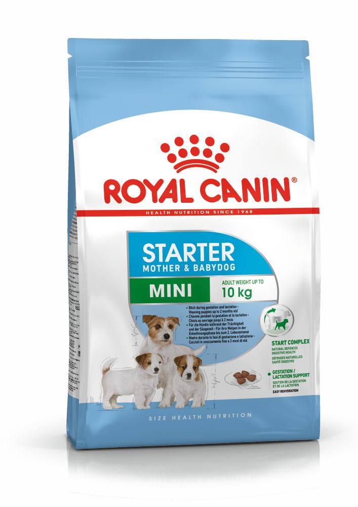 Royal Canin Mini Starter Mother&Babydog Küçük Irk Yavru Köpek Maması 4Kg Royal Canin Mini Starter Mother&Babydog Küçük Irk Yavru Köpek Maması 4Kg