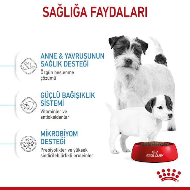 Royal Canin Mini Starter Mother&Babydog Küçük Irk Yavru Köpek Maması 4Kg Royal Canin Mini Starter Mother&Babydog Küçük Irk Yavru Köpek Maması 4Kg
