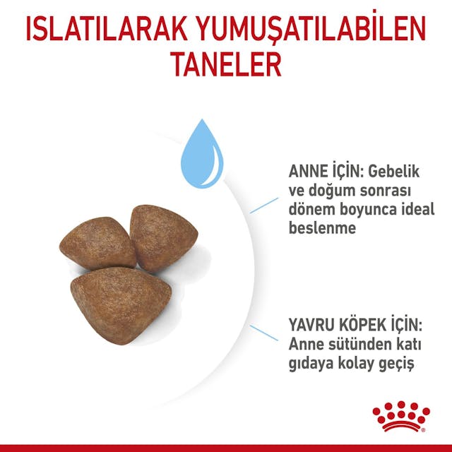Royal Canin Mini Starter Mother&Babydog Küçük Irk Yavru Köpek Maması 4Kg Royal Canin Mini Starter Mother&Babydog Küçük Irk Yavru Köpek Maması 4Kg