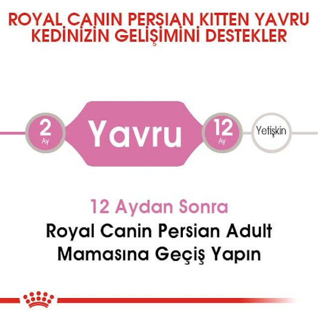 Royal Canin Persian Kitten Yavru İran Kedi Maması 2 Kg