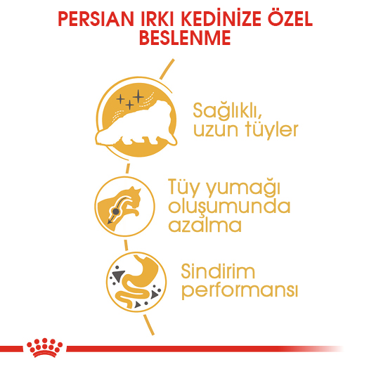 Royal Canin Persian Adult Yetişkin İran Kedi Maması 2 Kg