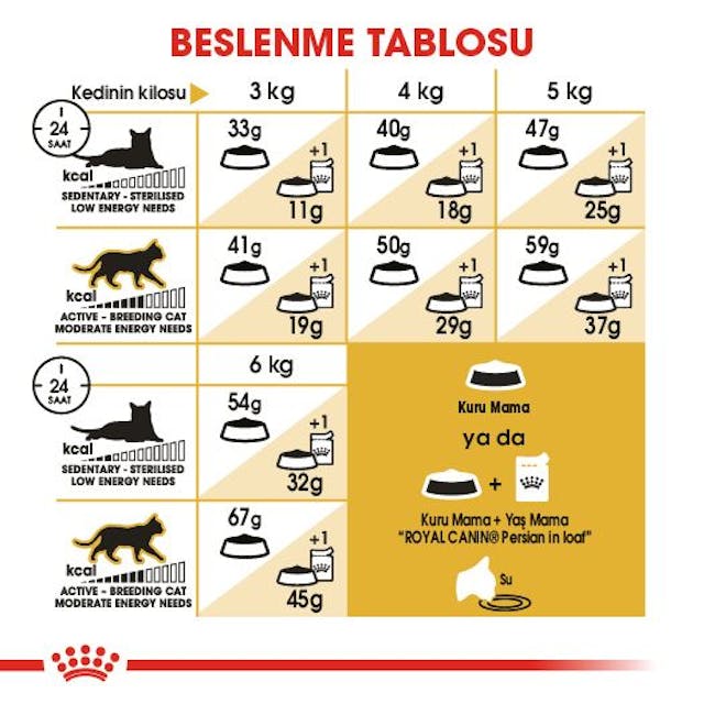 Royal Canin Persian Adult Yetişkin Kedi Maması 4 Kg