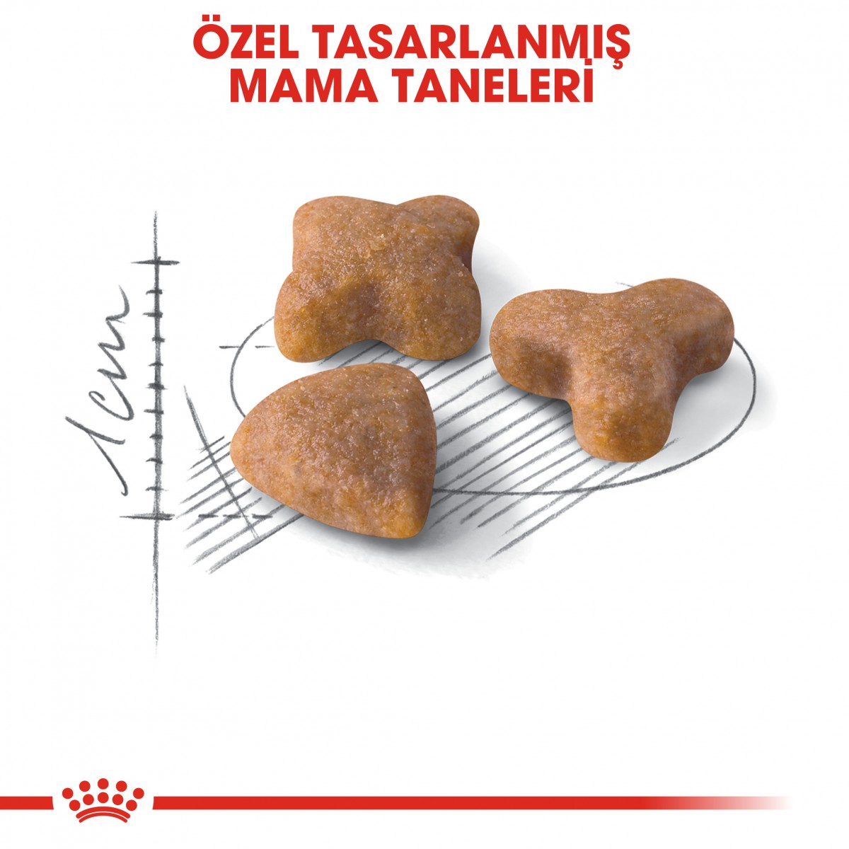 Royal Canin Sensible 33 Hassas Sindirim Sistemli Yetişkin Kedi Maması 15 Kg