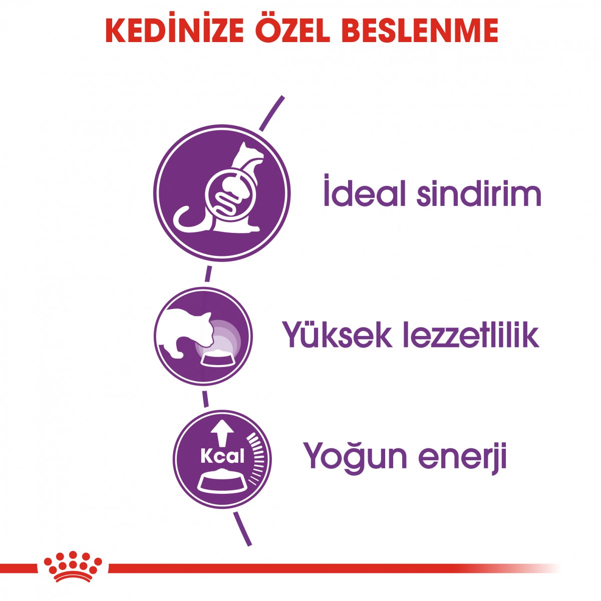 Royal Canin Sensible 33 Yetişkin Kedi Maması 4 Kg Royal Canin Sensible 33 Yetişkin Kedi Maması 4 Kg