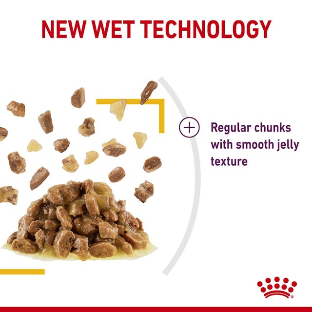 Royal Canin Sensory Taste Gravy Pouch Kedi Konserve Yaş Maması 85 Gr