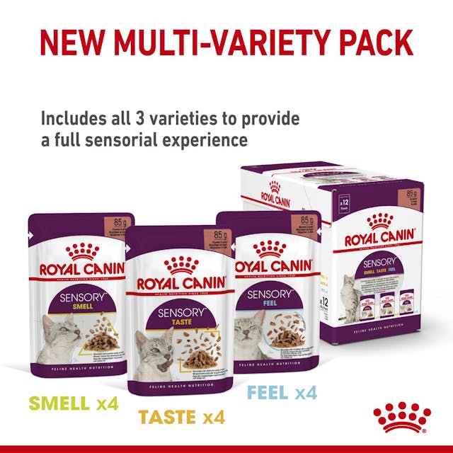 Royal Canin Sensory Taste Gravy Pouch Kedi Konserve Yaş Maması 85 Gr