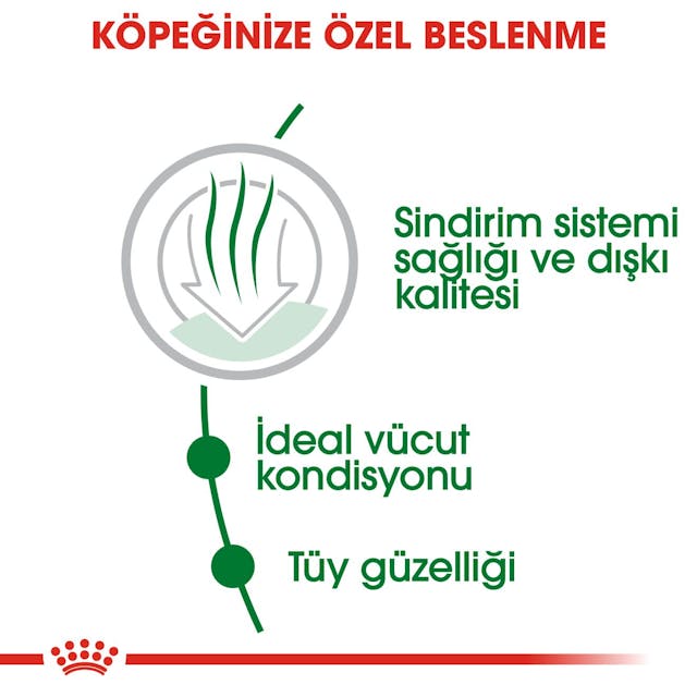 Royal Canin Mini Indoor Adult Küçük Irk Yetişkin Köpek Maması 1,5 Kg Royal Canin Mini Indoor Adult Küçük Irk Yetişkin Köpek Maması 1,5 Kg