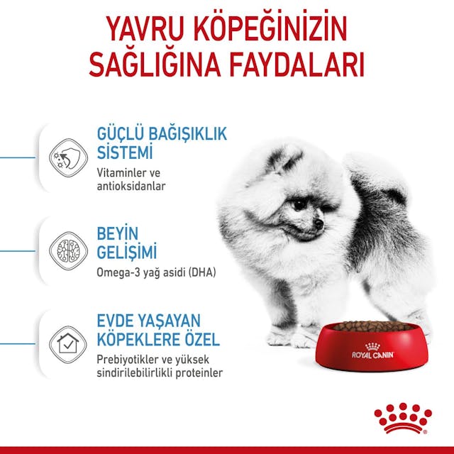 Royal Canin Mini Indoor Puppy Küçük Irk Yavru Köpek Maması 1,5 Kg