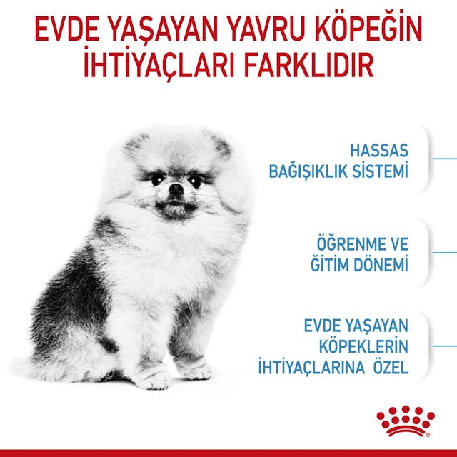 Royal Canin Mini Indoor Puppy Küçük Irk Yavru Köpek Maması 1,5 Kg