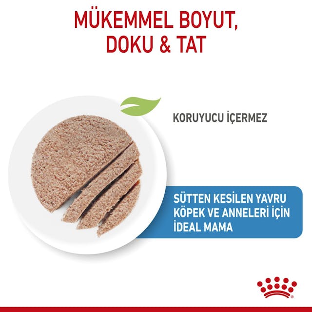 Royal Canin Starter Mousse Anne ve Yavru Köpek Konserve Maması 195 Gr Royal Canin Starter Mousse Anne ve Yavru Köpek Konserve Maması 195 Gr