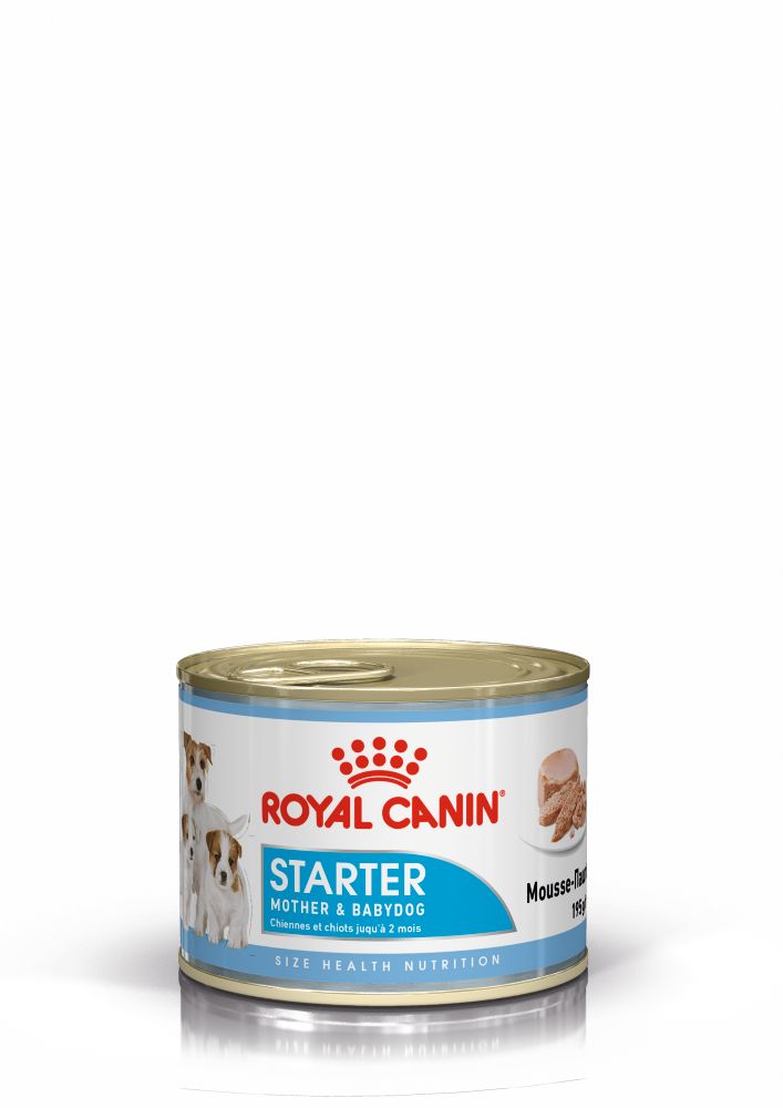 Royal Canin Starter Mousse Anne ve Yavru Köpek Konserve Maması 195 Gr Royal Canin Starter Mousse Anne ve Yavru Köpek Konserve Maması 195 Gr