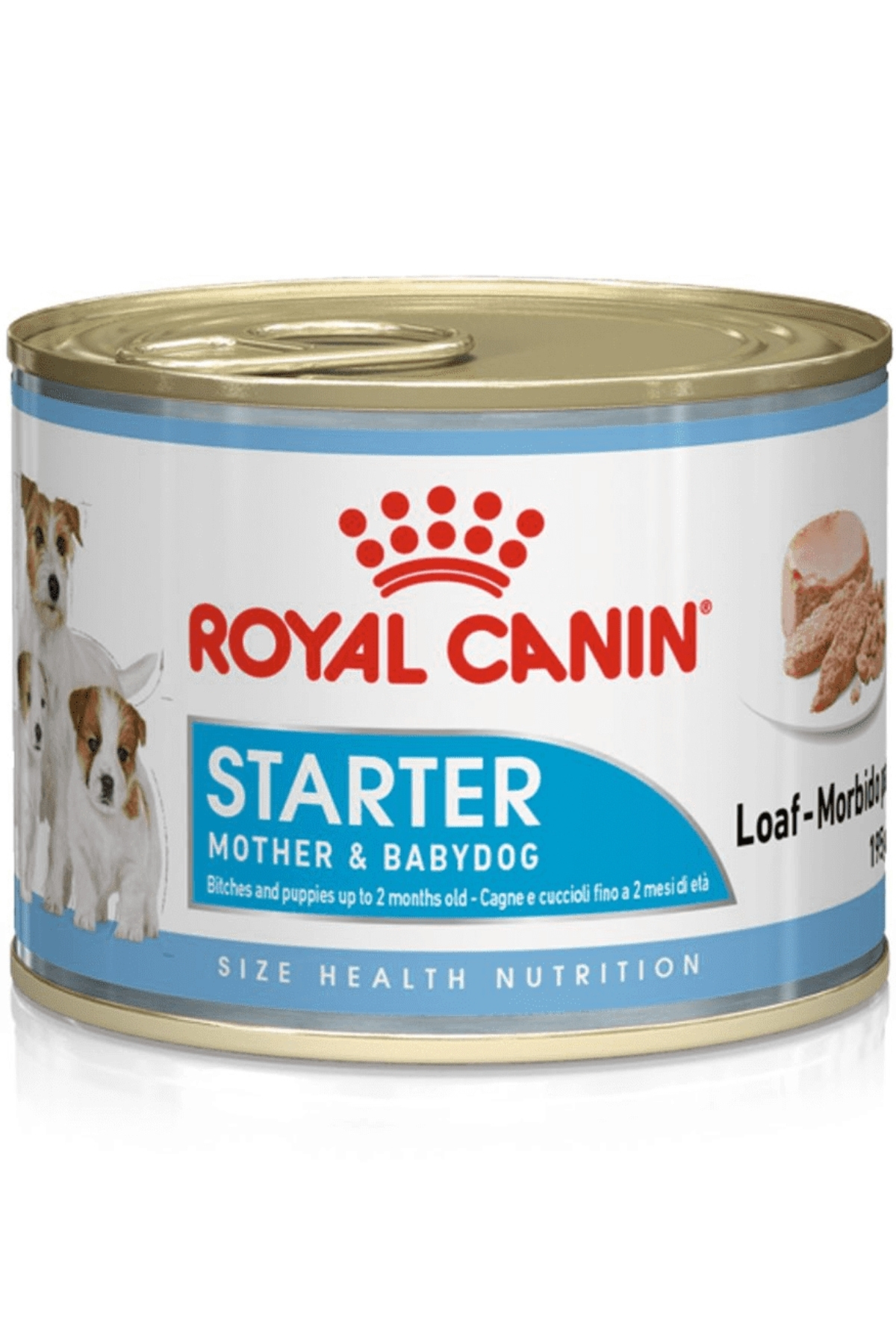 Royal Canin Starter Mousse Yavru Köpek Konservesi 195 Gr