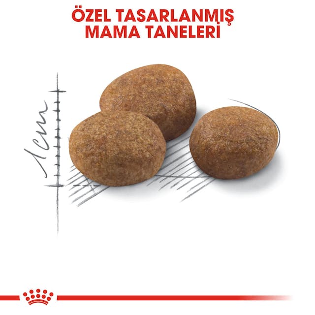 Royal Canin Sterilised 7+ Kısırlaştırılmış Yaşlı Kedi Maması 3.5 Kg Royal Canin Sterilised 7+ Kısırlaştırılmış Yaşlı Kedi Maması 3.5 Kg