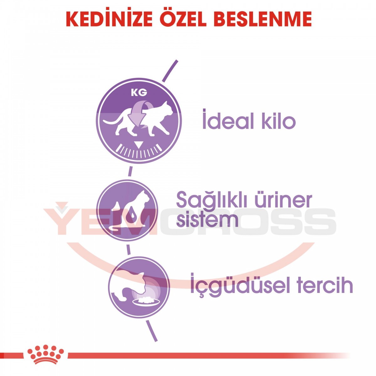 Royal Canın Sterılısed Jelly 85 Gr 12 Adet