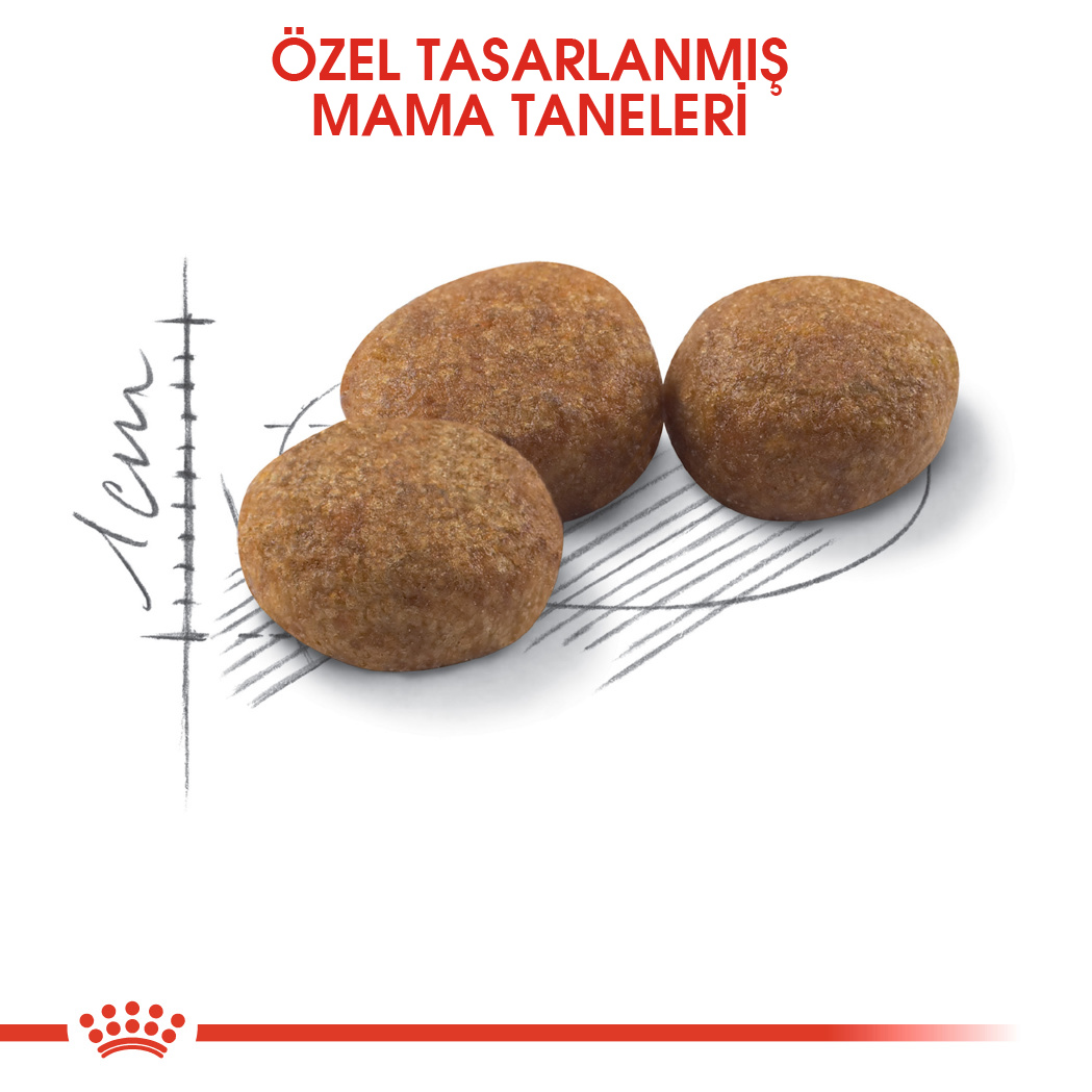 Royal Canin Sterilised 37 Kısırlaştırılmış Kedi Maması 4 Kg Royal Canin Sterilised 37 Kısırlaştırılmış Kedi Maması 4 Kg