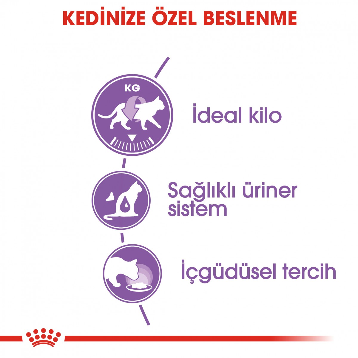 Royal Canin Sterilised Gravy Kısırlaştırılmış Yetişkin Kedi Maması Pouch 85 Gr Royal Canin Sterilised Gravy Kısırlaştırılmış Yetişkin Kedi Maması Pouch 85 Gr