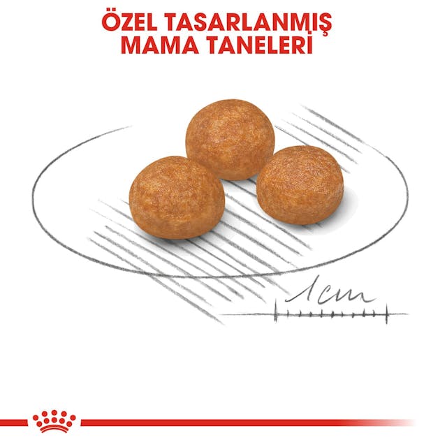 Royal Canin X-Small Adult Küçük Irk Yetişkin Köpek Maması 3 Kg