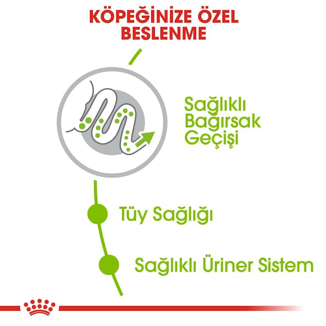 Royal Canin X-Small Adult Küçük Irk Yetişkin Köpek Maması 3 Kg