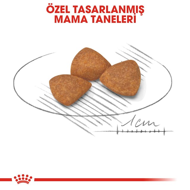 Royal Canin X-Small Adult Küçük Irk Yetişkin Köpek Maması 1,5 Kg