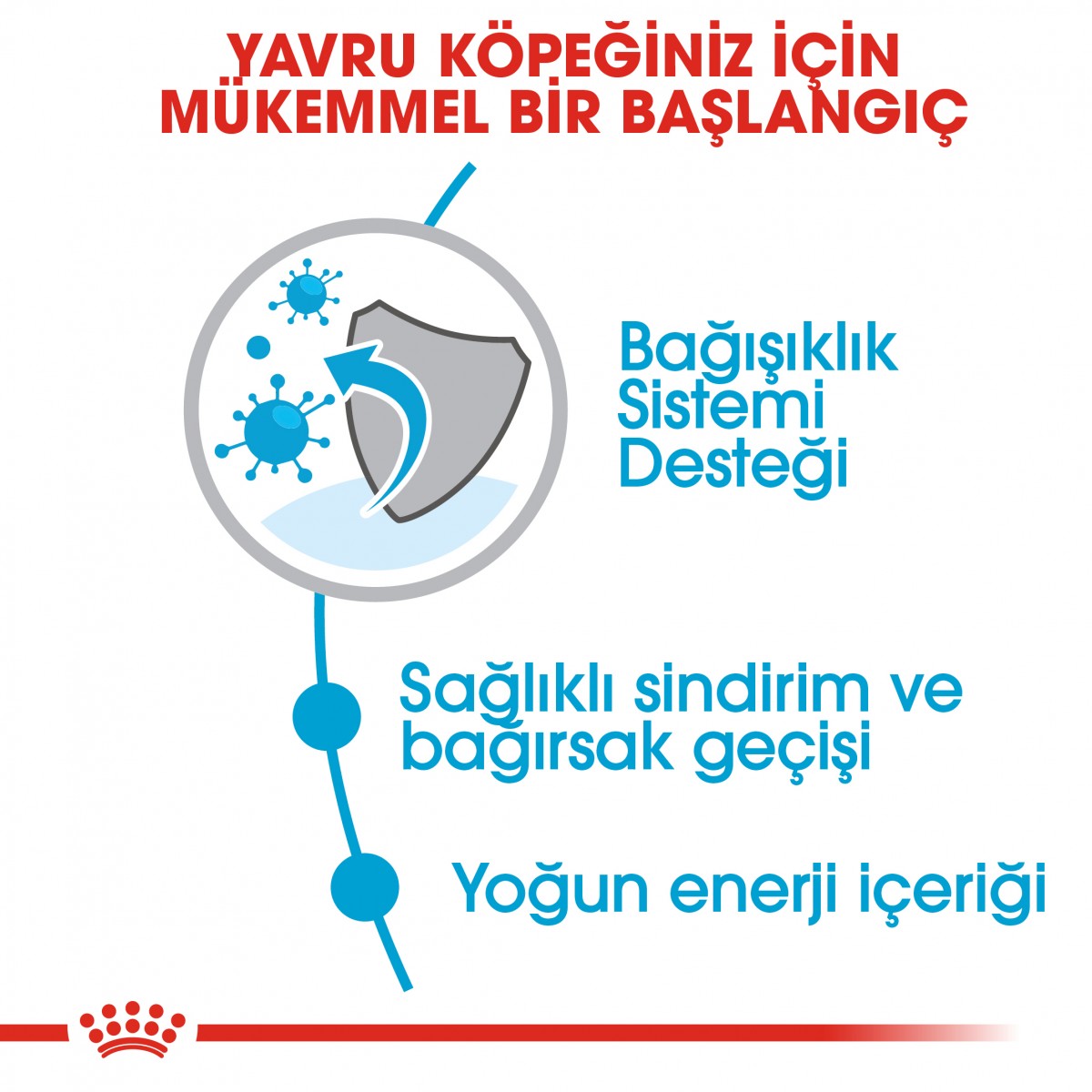 Royal Canin X-Small Puppy Küçük Irk Yavru Köpek Maması 1,5 Kg