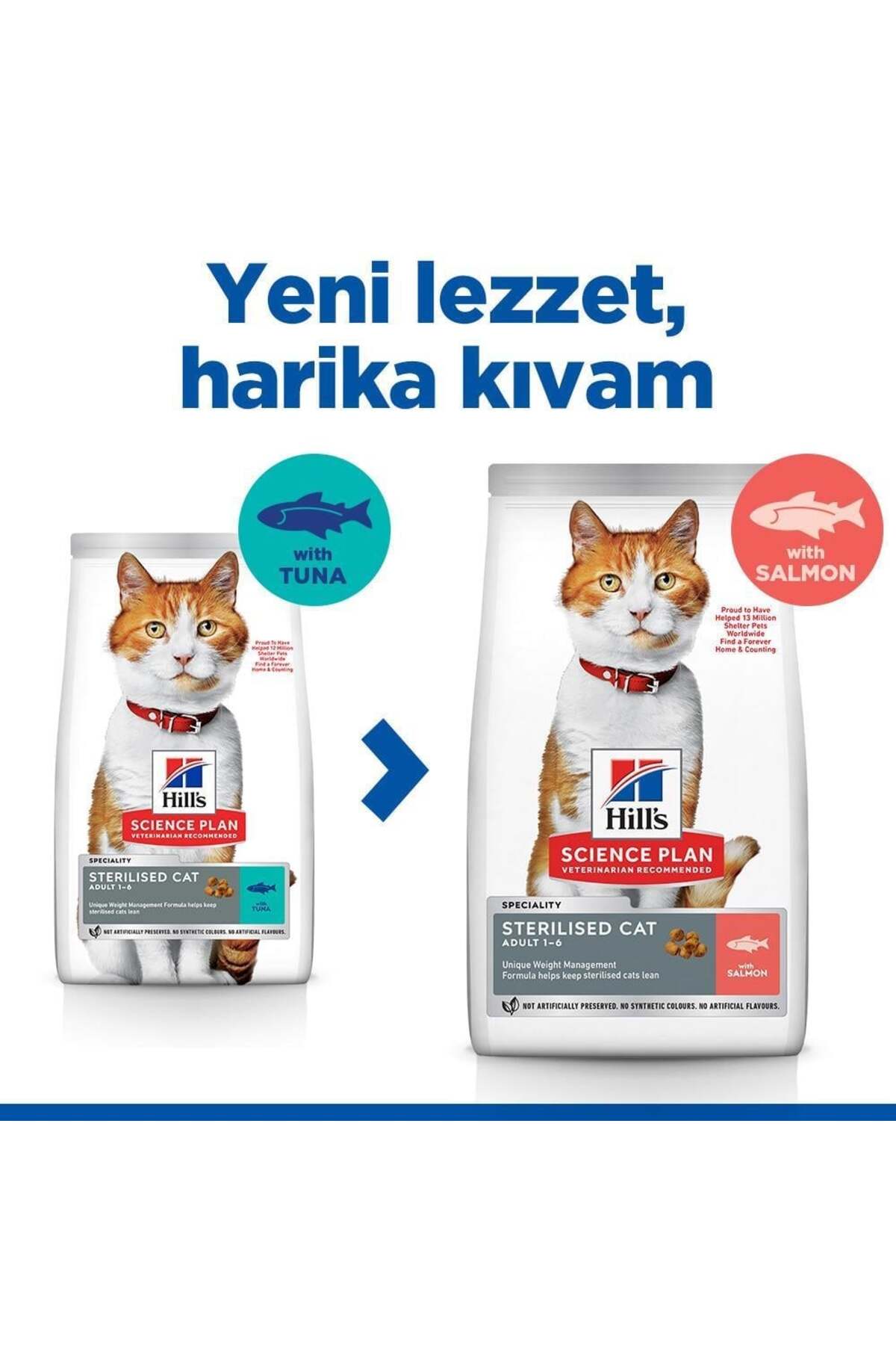 Scıence Plan Somon Balıklı Kısırlaştırılmış Kedi Maması 1.5 Kg