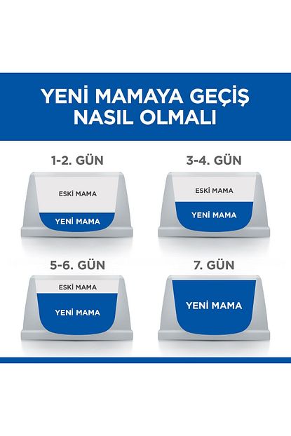 Scıence Plan Somonlu Kısırlaştırılmış Yetişkin Kedi Maması 15 Kg