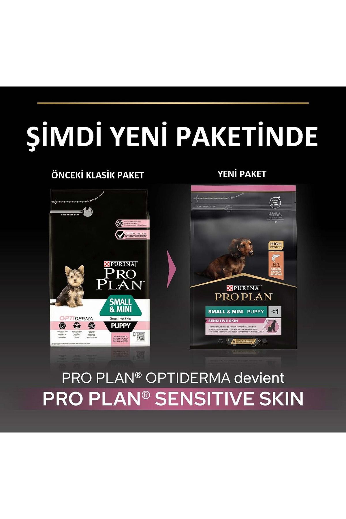 Small Mini Puppy Küçük Irklar için Somonlu Yavru Köpek Maması 3 kg Small Mini Puppy Küçük Irklar için Somonlu Yavru Köpek Maması 3 kg