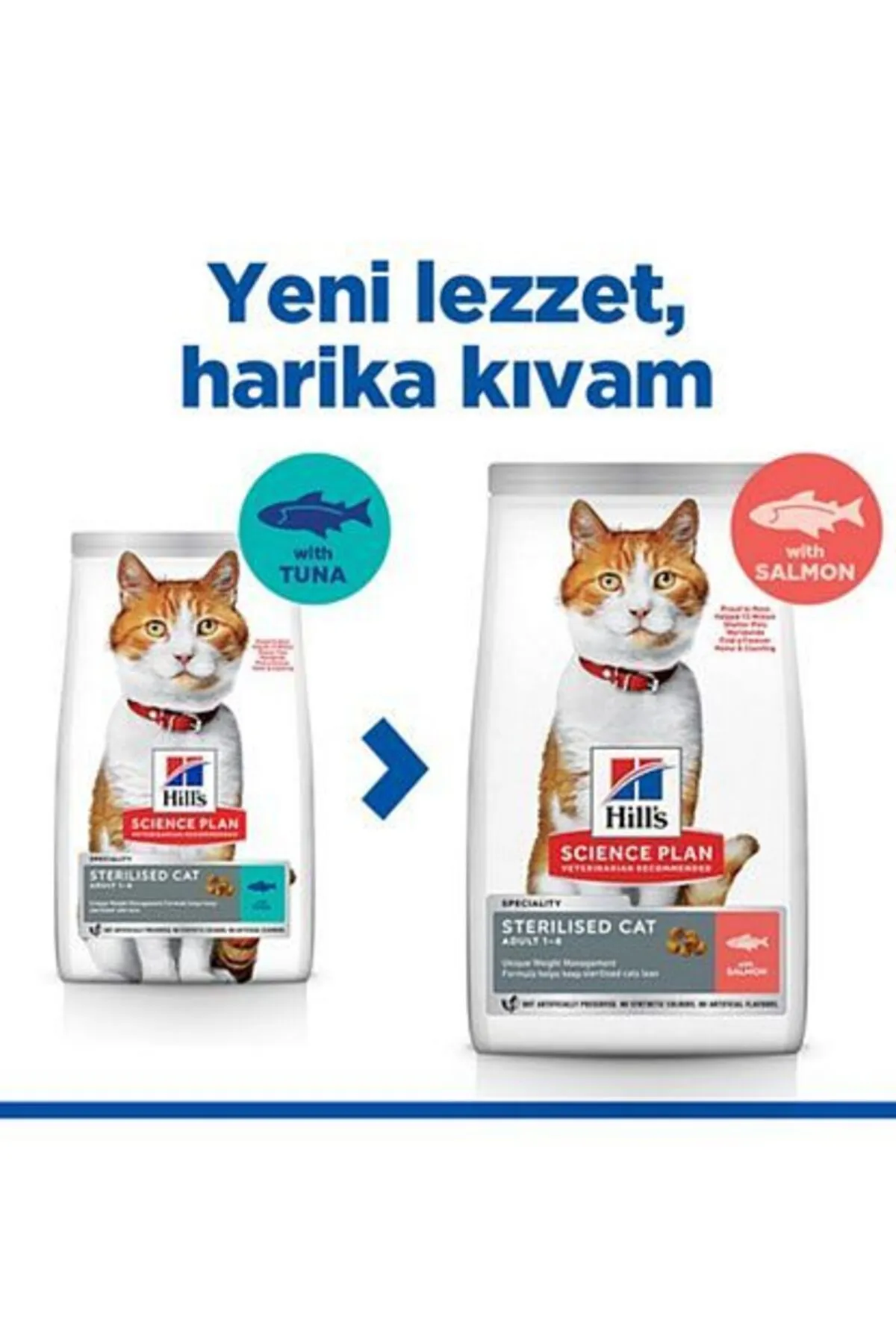 Somonlu Kısırlaştırılmış Yetişkin Kedi Maması 10 Kg