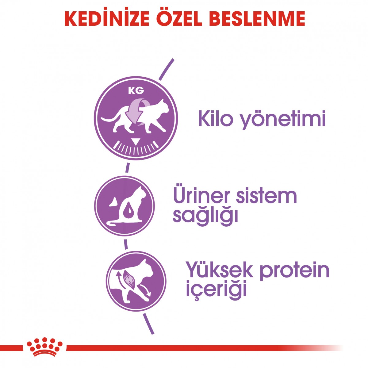 Royal Canin Sterilised 37 Kedi Maması 400 gr - Kısırlaştırılmış Kediler İçin Özel Formül