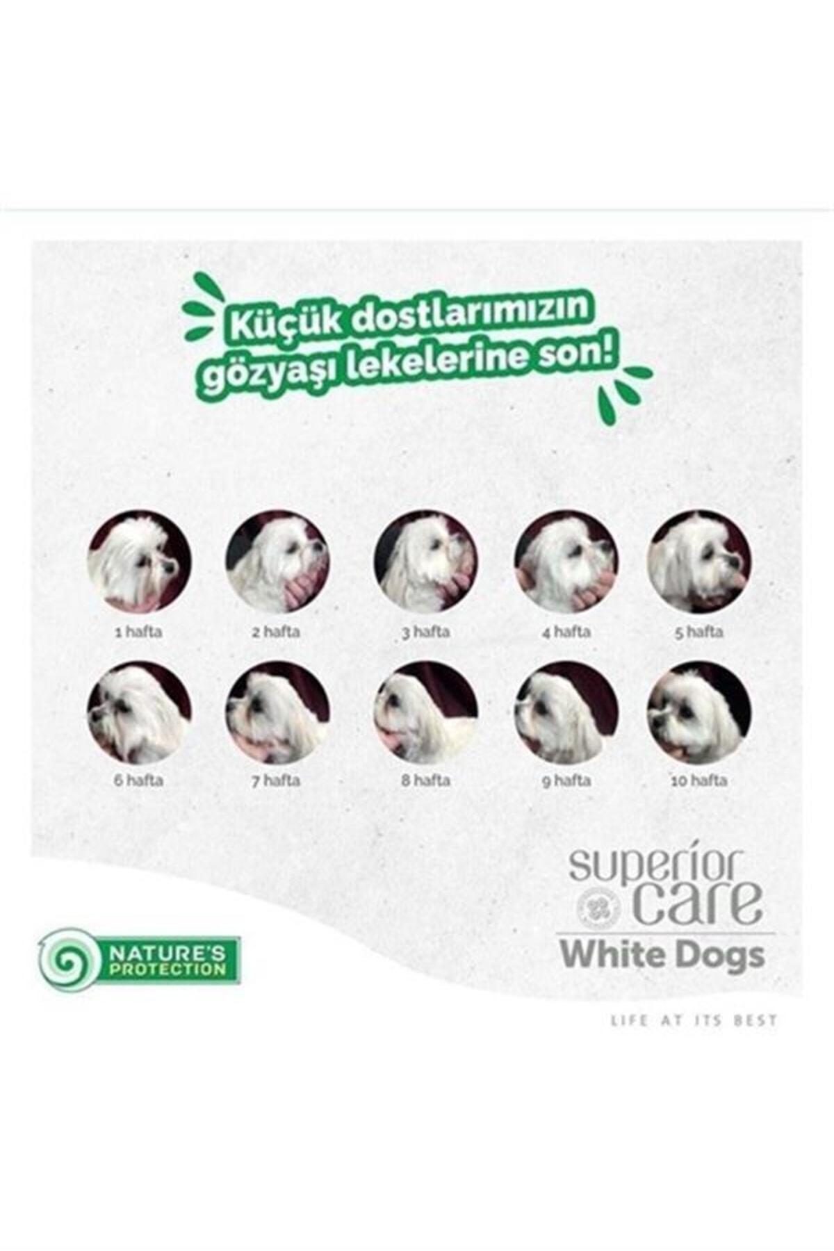 Natures Protection Superior Care White Dogs Glutensiz Kuzu Etli Yetişkin Köpek Maması 17 Kg