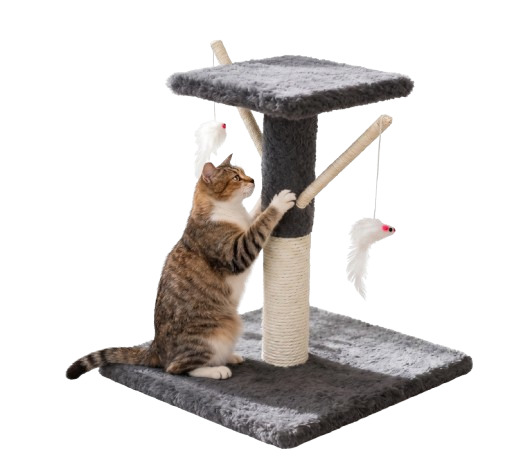 Tommy Teraslı Kedi Tırmalama Çok Renkli 34x34x43 Tommy Teraslı Kedi Tırmalama Çok Renkli 34x34x43